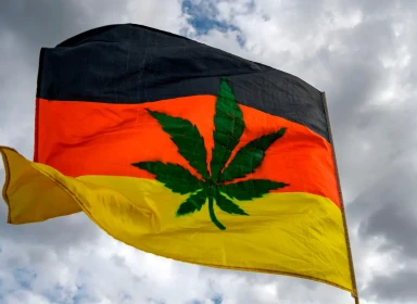 Germany implements Cannabis Legalization and Cultivation reform