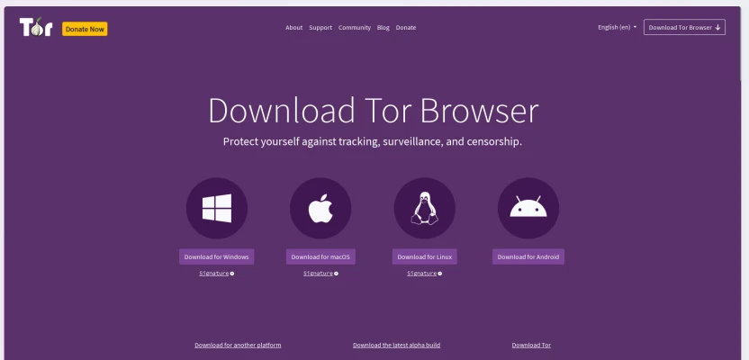 How to access the dark web: Tor browser