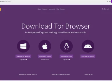 How to access the dark web: Tor browser